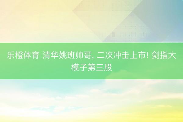 乐橙体育 清华姚班帅哥， 二次冲击上市! 剑指大模子第三股