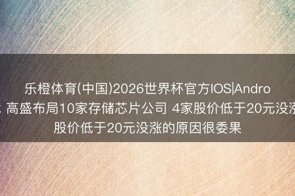 乐橙体育(中国)2026世界杯官方IOS|Android手机app下载 高盛布局10家存储芯片公司 4家股价低于20元没涨的原因很委果