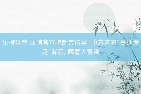 乐橙体育 压哨官宣特朗普访华! 中方这波“蔓延满足”背后， 藏着大智谋