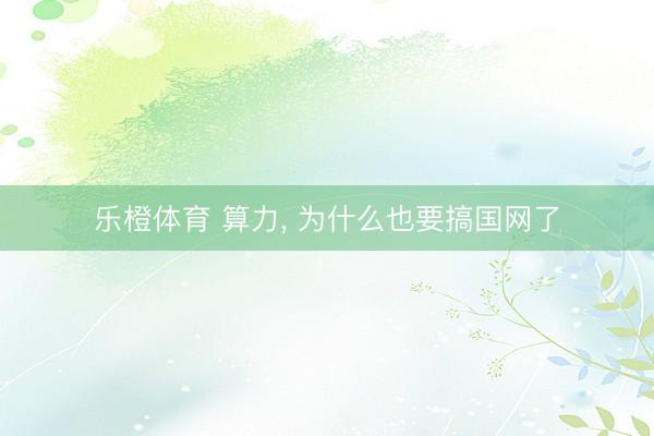 乐橙体育 算力， 为什么也要搞国网了