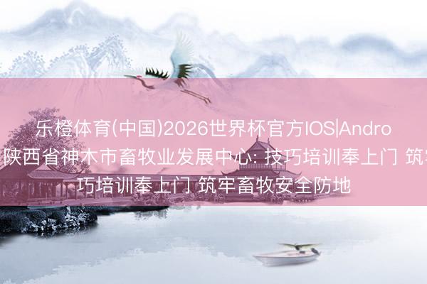 乐橙体育(中国)2026世界杯官方IOS|Android手机app下载 陕西省神木市畜牧业发展中心: 技巧培训奉上门 筑牢畜牧安全防地