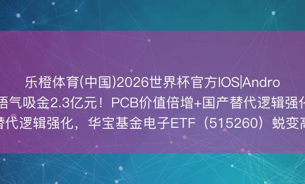 乐橙体育(中国)2026世界杯官方IOS|Android手机app下载 近6日一语气吸金2.3亿元！PCB价值倍增+国产替代逻辑强化，华宝基金电子ETF（515260）蜕变高后，再涨1.25%！