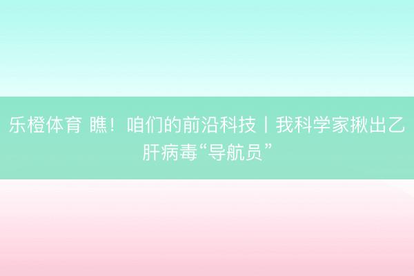 乐橙体育 瞧！咱们的前沿科技丨我科学家揪出乙肝病毒“导航员”