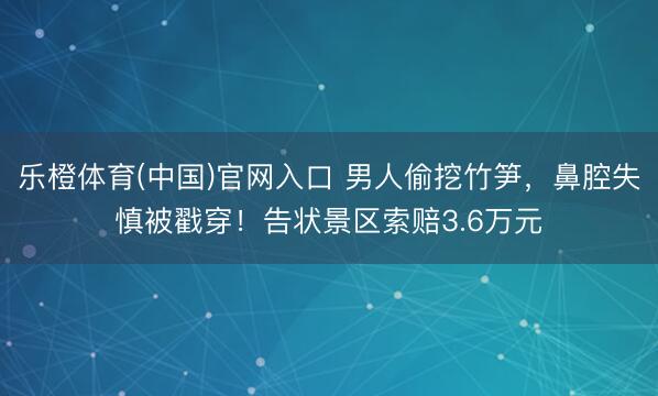 乐橙体育(中国)官网入口 男人偷挖竹笋，鼻腔失慎被戳穿！告状景区索赔3.6万元